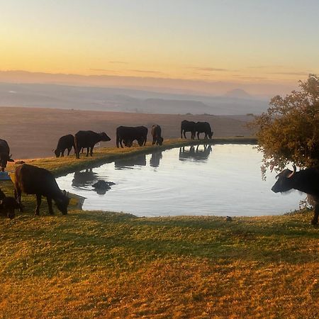 Uitzicht Private Nature Reserve And Lodge 푸리즈버그 외부 사진