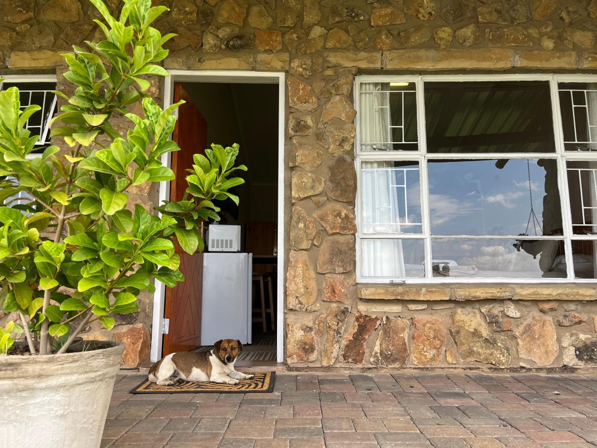 Uitzicht Private Nature Reserve And Lodge 푸리즈버그 객실 사진